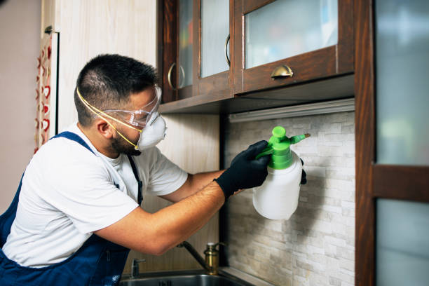 Wildlife Control Services in Preston Heights, IL