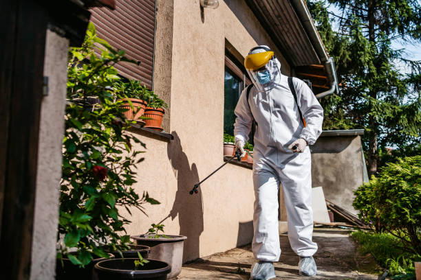 Best Flea Control Services  in Preston Heights, IL