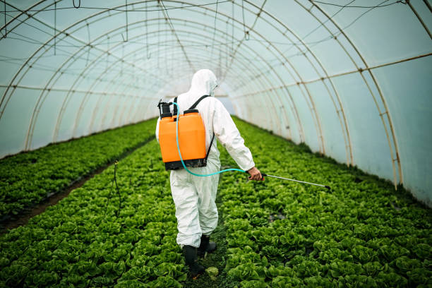 Professional Pest Control in Preston Heights, IL