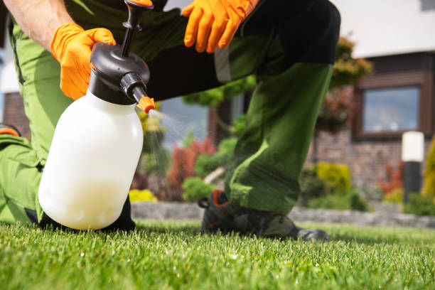 Best Commercial Pest Control Services  in Preston Heights, IL