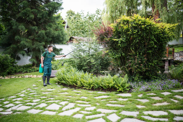 Best Residential Pest Control  in Preston Heights, IL