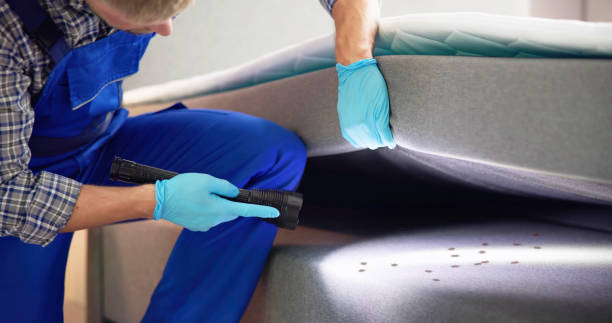 Best Rat Extermination Near Me  in Preston Heights, IL