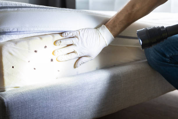 Best Commercial Pest Control Services  in Preston Heights, IL