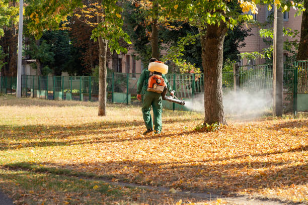 Best Best Pest Control Companies  in Preston Heights, IL