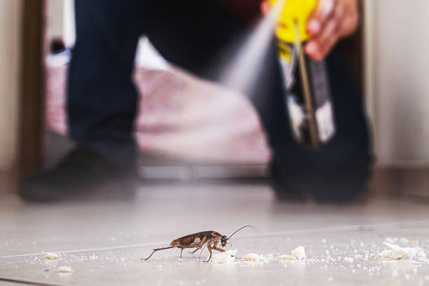 Best Best Pest Control Companies  in Preston Heights, IL