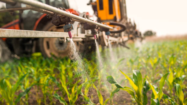 Pest Prevention Services in Preston Heights, IL